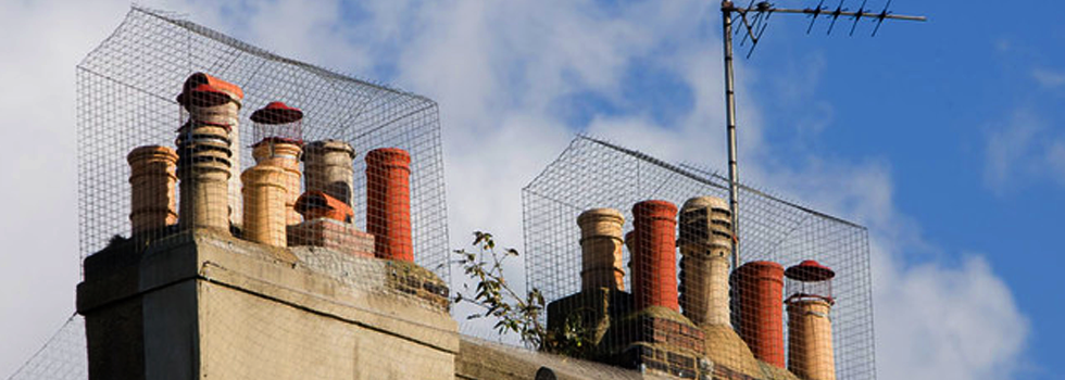 Rooftop chimney pots fitted with large mesh bird guards under a blue sky